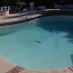 Lexington Kentucky University Swimming Pools and Spa Resurfacing